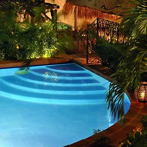 https://la-pasion-hotel-boutique.allrivieramayahotels.com