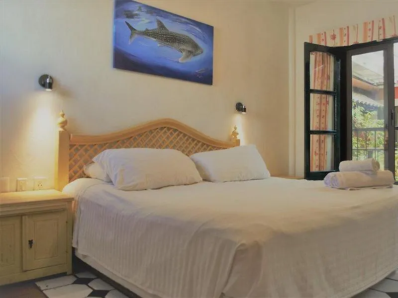 איסלה מוחרס Hotel Belmar